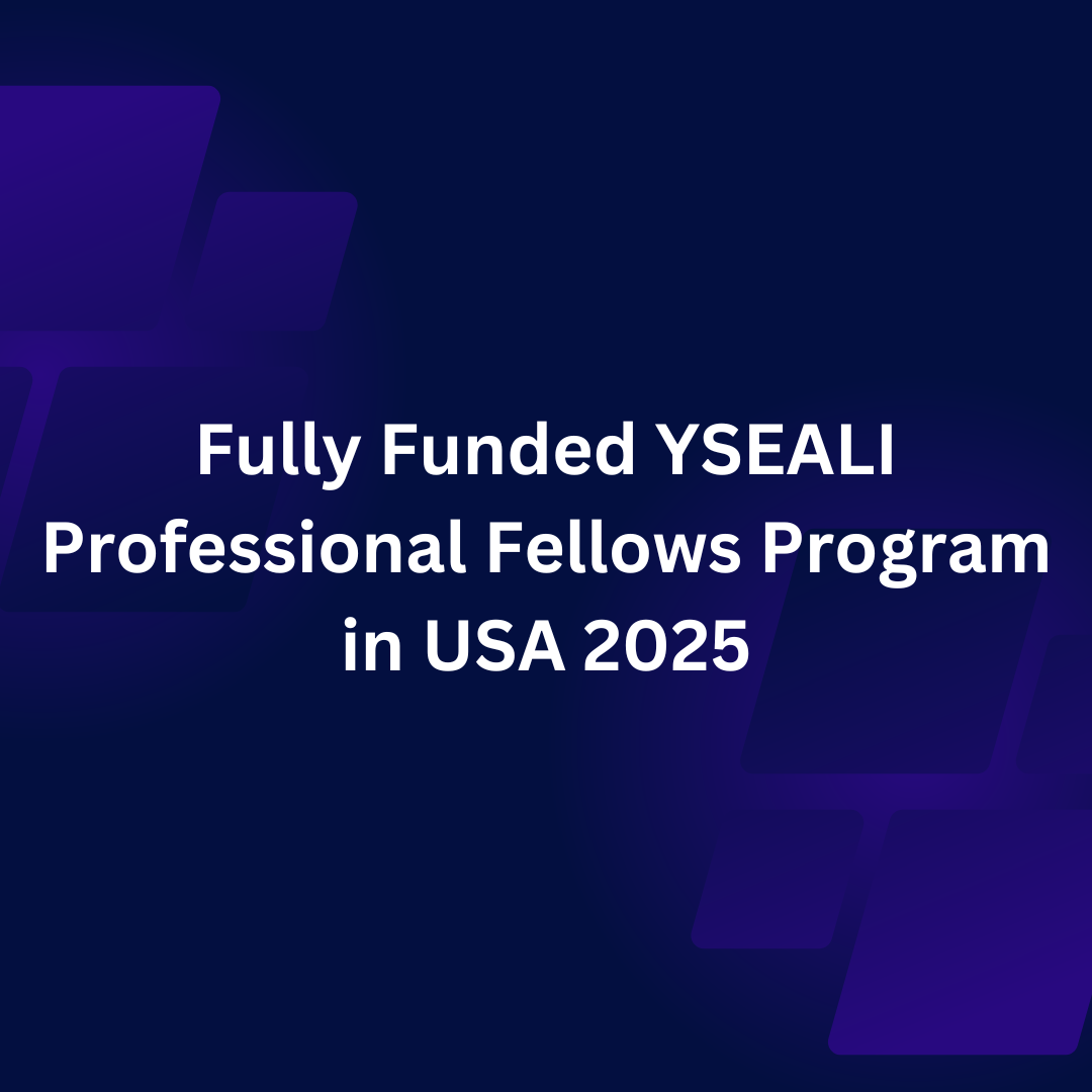 YSEALI Professional Fellows Program